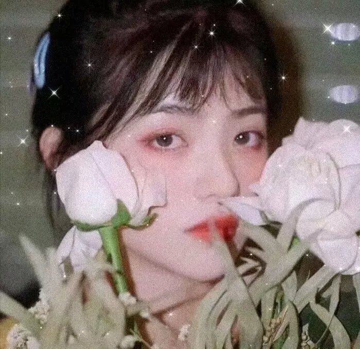 我们的英摇时光